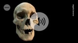 DNA from hunter-gatherer teeth reveals secrets of ancient plague