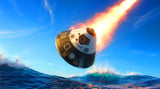 “We Lost Bodies and Weed in Space”: Human Remains and Cannabis Crash Into Ocean After Shocking Mission Failure