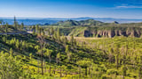 How Wildfire is Erasing the Forests of the American West