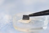 Experimental Patch Could Make At-Home Melanoma Diagnosis Easy as COVID Test