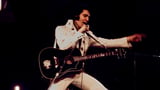 Elvis Presley Estate Sues Anthropic for Stealing His Music ‘At a Scale Never Seen Before’ To Train AI