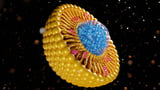 New Antibody Formulations Allow Antibodies To Target Structures Hidden Within Cells