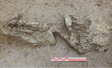 The Story of a Mysterious Copper Age Baby Discovered in a Prehistoric Well Is Uncovered