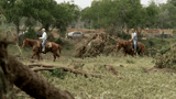 Volunteers on horseback look for missing people | CNN