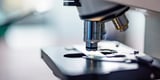 Anthropic makes first move into physical AI with universal standard that could bring scientific labs to life | Fortune