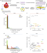 The DNA virome varies with human genes and environments
