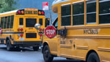 NYC parents call for overhaul of school bus system for students with disabilities