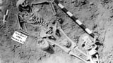 Scientists Just Rewrote the Origin Story of One of Humanity’s Deadliest Diseases