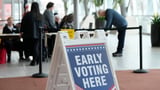 Nearly 20% of registered voters have cast ballots during Michigan’s early voting period so far