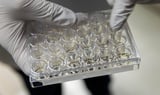 Proposed federal grant changes are alarming, illegal and 'bad for Boston,' say Mass. researchers and lawmakers | WBUR News