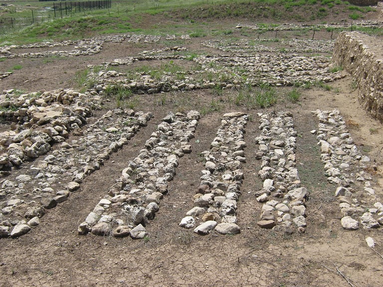 World’s Oldest Architectural Model Unveiled: Neolithic Ingenuity at Çayönü Hill