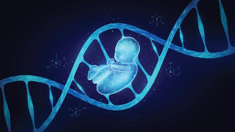 Breakthrough Study Reveals 100-Million-Year Evolution of Fetal-Maternal Interface Across Mammals